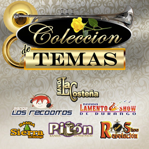 Coleccion De Temas