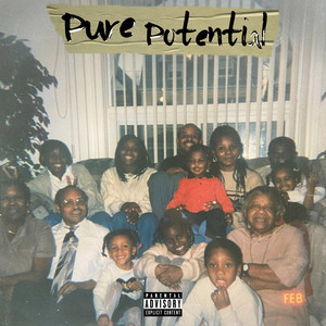 Pure Potential (Explicit)