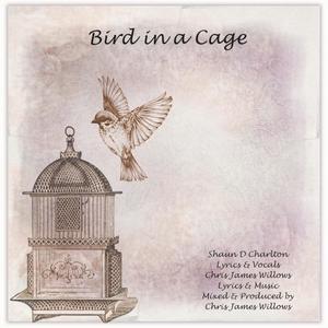 Bird in a Cage (feat. Chris James Willows)