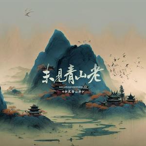 未见青山老