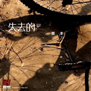 飞吧，海鸥