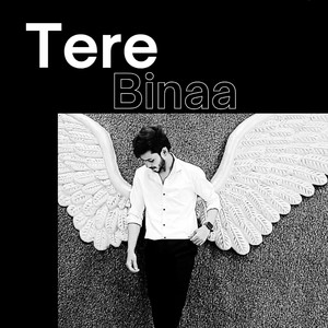 Tere Binaa (Slowed Down)