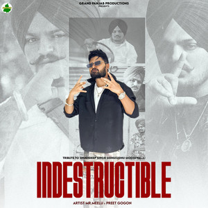 Indestructible | Sidhu Mooswala | Mr.Meelu (Explicit)