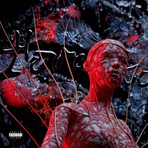 нарцисс (Explicit)