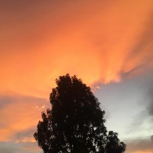 Los Cantos, Vol. 1