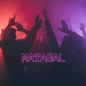 Quenti Moh Piripiri (Matagal)