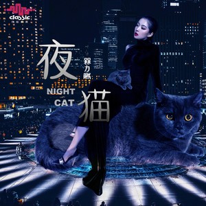 夜猫 (伴奏)