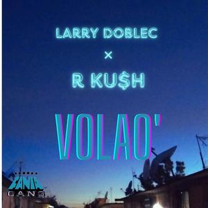 Volao (feat. R Ku$h)