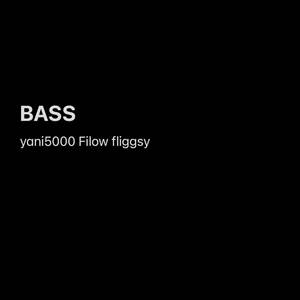 BASS (Explicit)
