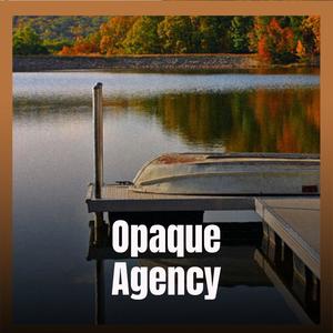 Opaque Agency