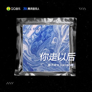 你走以后封面