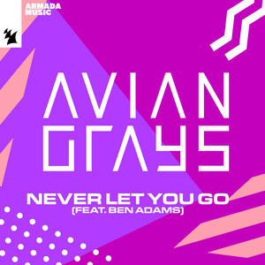 Avian Grays - Never Let You Go