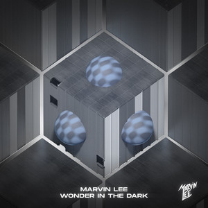 Wonder In The Dark (Instrumental)