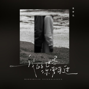 我的世界你曾来过