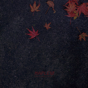 Holy (내가 부르고 싶어서 부르는 노래) (我想唱才唱的歌)