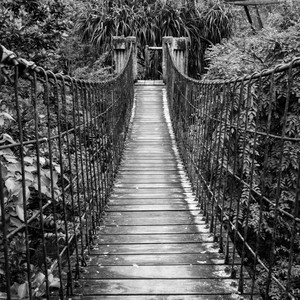 Surrounded (Fight My Battles)