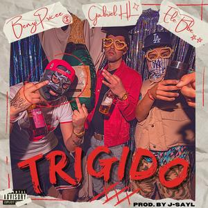 TRIGIDO (feat. Gabriel HL & Elebbe) [Explicit]