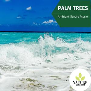 Palm Trees - Ambient Nature Music