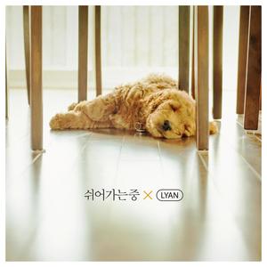 쉬어가는 중