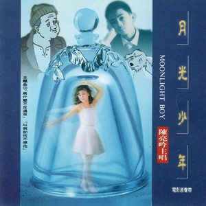 一颗小小的石头