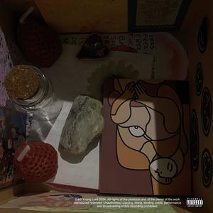 真贋相愛 (Explicit)