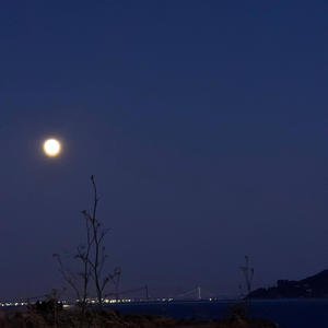 Love Just Aint My Thing (feat. Libra)