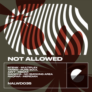 Pure Soul (Original Mix)