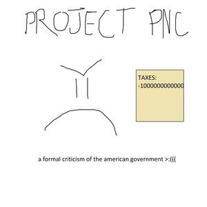 A Formal Criticism of the American Government