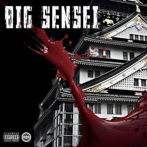 Big Sensei (Explicit)