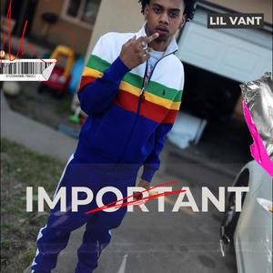 LIL VANT (important) [Explicit]