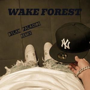 WAKE FOREST (Dylan Palacios Remix) [Explicit]