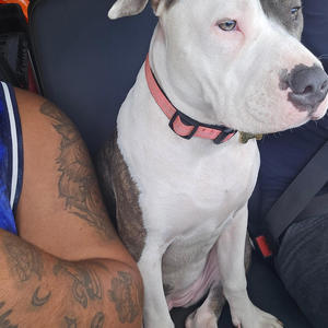 Dia de pagó (Explicit)