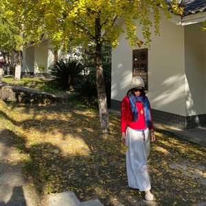 情系半生封面