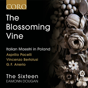 The Blossoming Vine: Italian Maestri in Poland