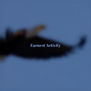 Earnest Activity