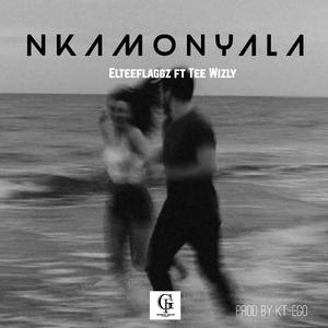 Nkamonyala (feat. Tee Wizly)