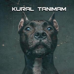 Kural Tanımam (Explicit)