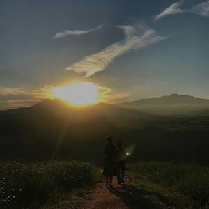 这个世界不会好