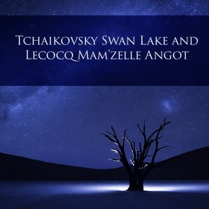 Swan Lake - Highlits, Op. 20a - No. 13, Danse des Cygnes (Andante)