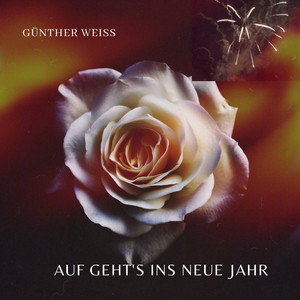 Auf geht's ins neue Jahr