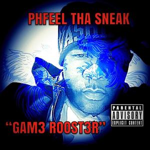 GAM3 ROOST3R (Explicit)