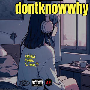 Dont know why (feat. kei00 & lilmarjb)