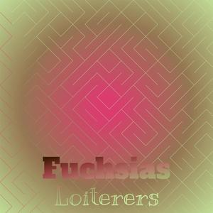 Fuchsias Loiterers
