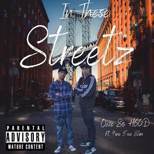 In These Streetz (feat. 9ine 5ive Slim) [Explicit]