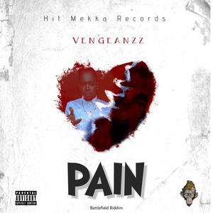 PAIN (feat. Vengeanzz) [Explicit]