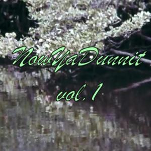 NowYaDunnit vol. 1