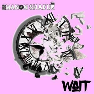 Wait (Explicit)