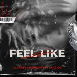 Feel Like (feat. Stag OG)