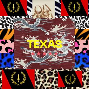 TEXAS (Explicit)