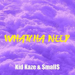 whatcha need (feat. $mall$) [Explicit]